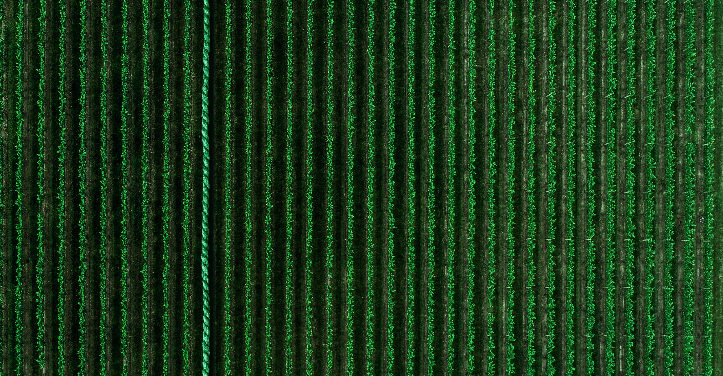 Bæredygtighed er ikke et valg<br> – det er vævet ind i alt, hvad vi gør