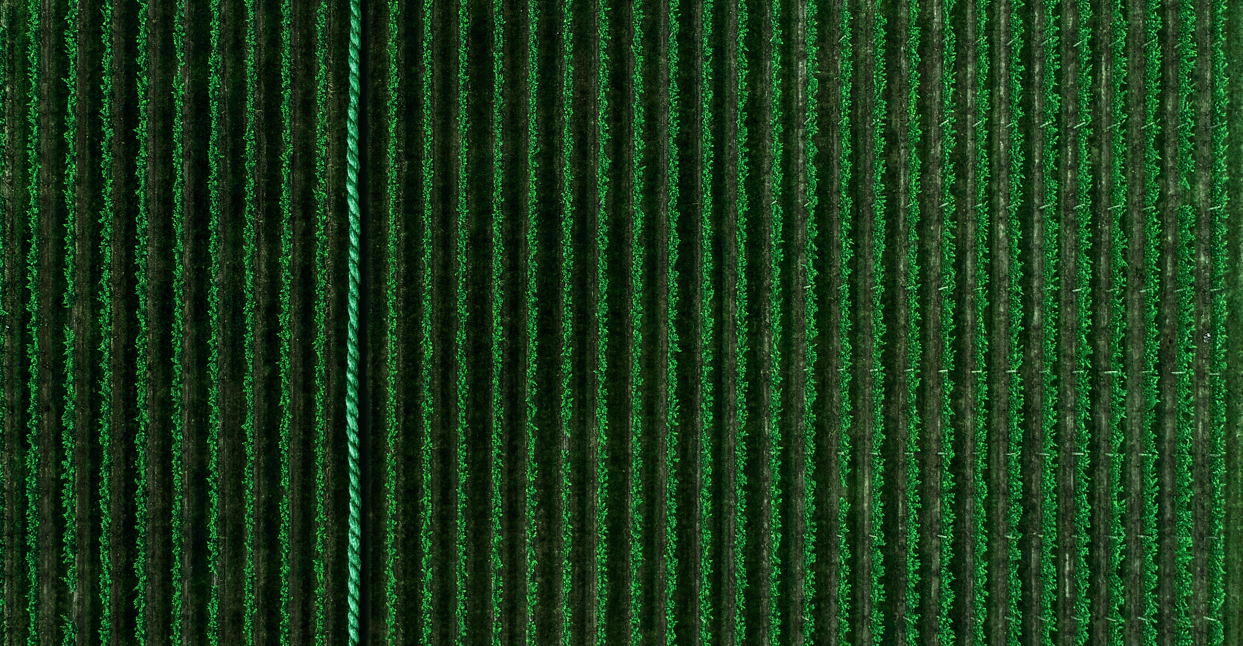 Bæredygtigt - Dette tæppe er også grønt