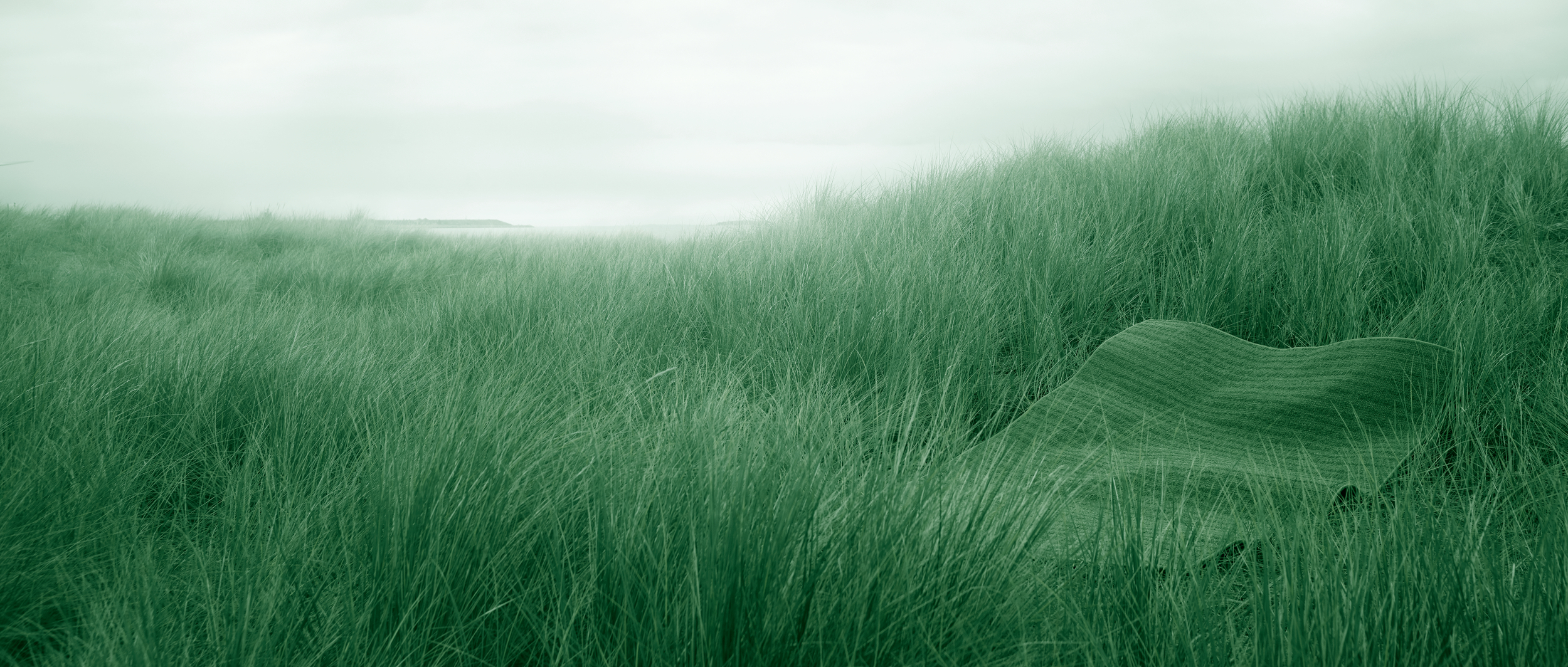 Vi har mange års grøn erfaring