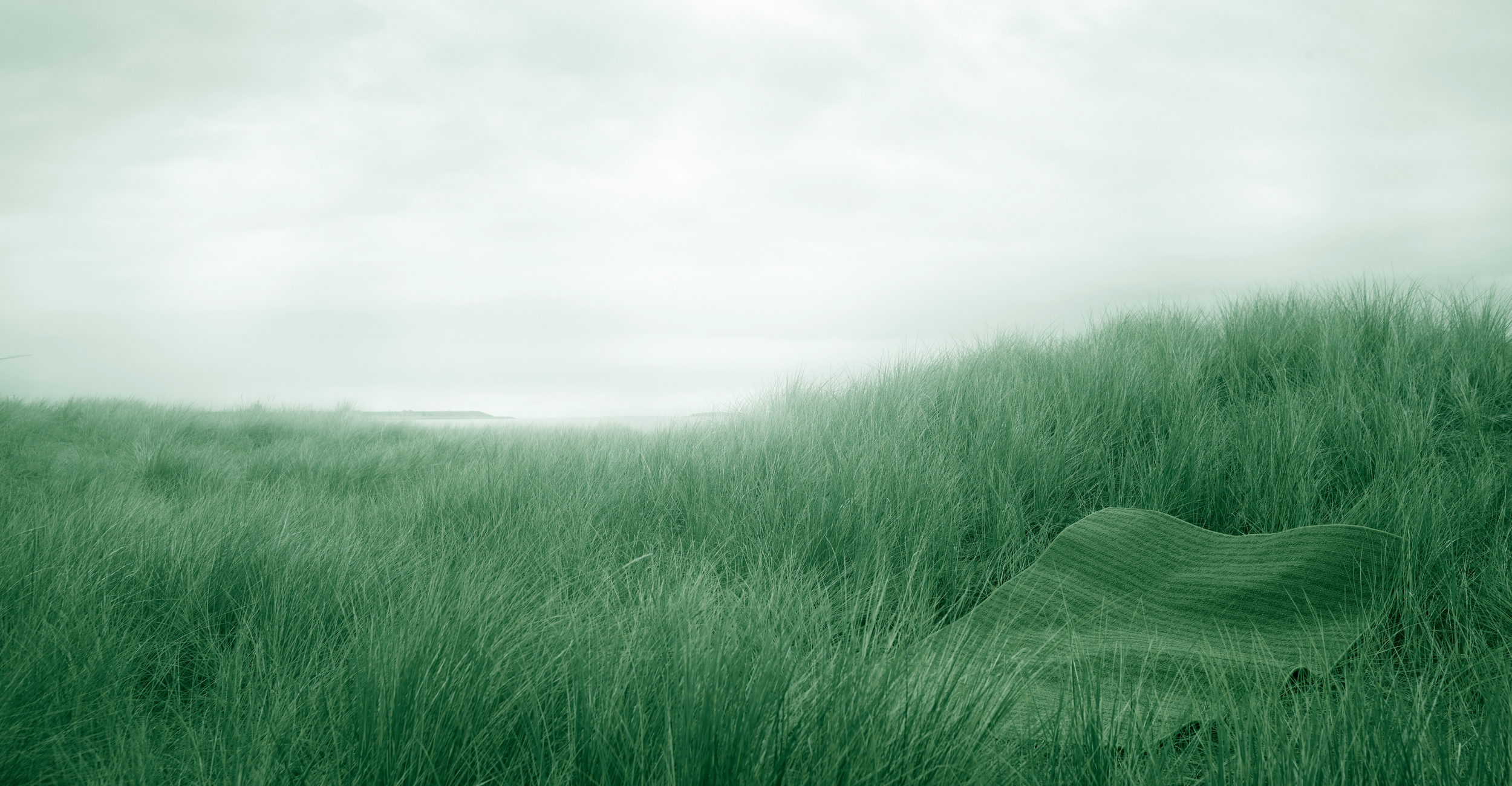 <strong>VORES LANGSIGTEDE AMBITION:</strong> <br>VI ØNSKER AT SKABE VERDENS MEST BÆREDYGTIGE TÆPPER