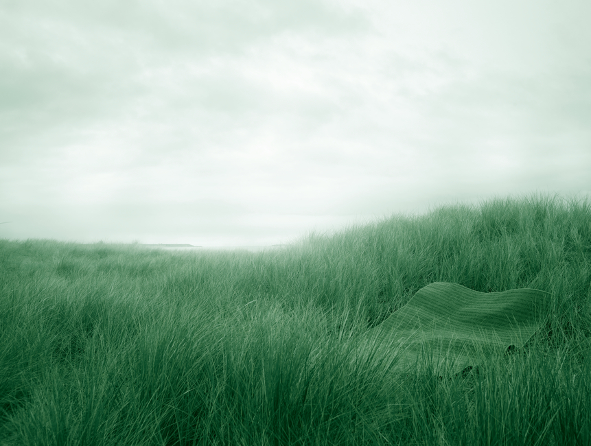 2010'erne og 2020'erne - At være grøn