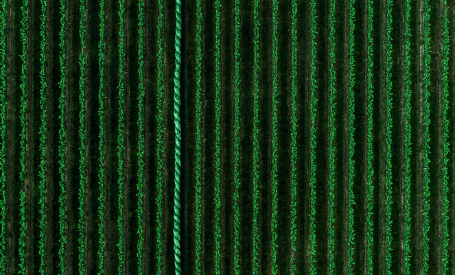 Bæredygtigt - Dette tæppe er også grønt